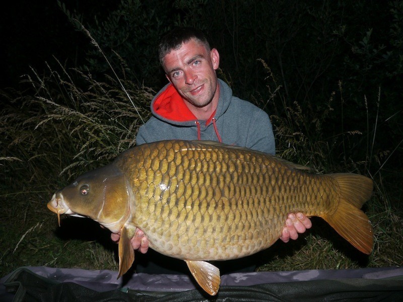 31lb June 2014