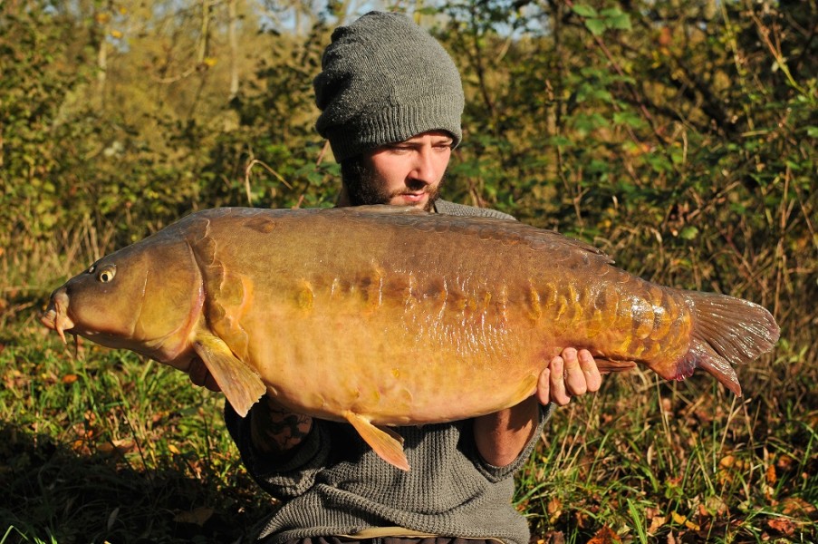 35lb 8oz November 2014