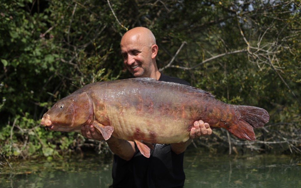 Chris Irvin - Co's Point - 34lb 10oz - 17/08/2024