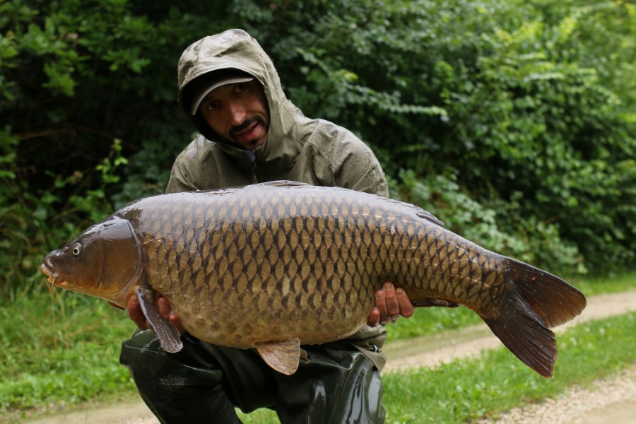 Daniele Bedini - 42lb - Alcatraz - 10/07/2021