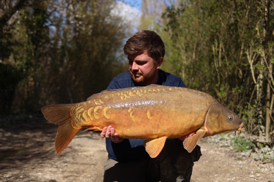 Greg Baillie - 36lb - Tree Line - 21/03/2026