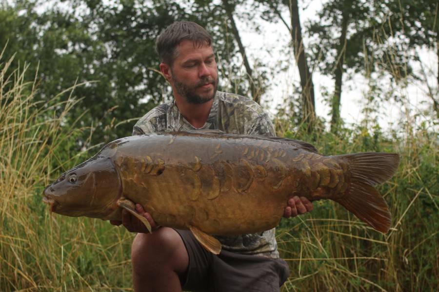 Brad - Apple Slices 46lb 12oz - pole Position