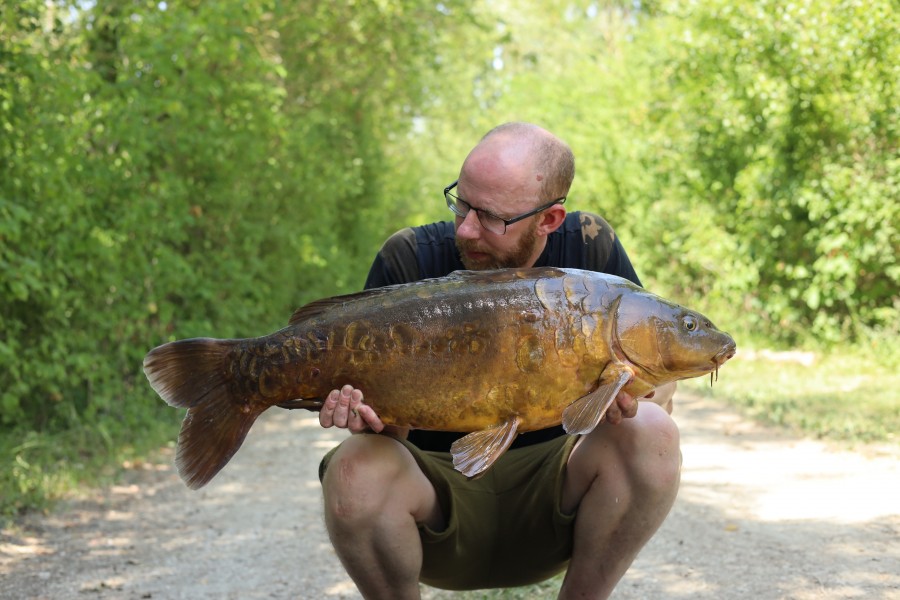 Andy Shepherd - 27lb 12oz - Tree Line - 28/06/2025