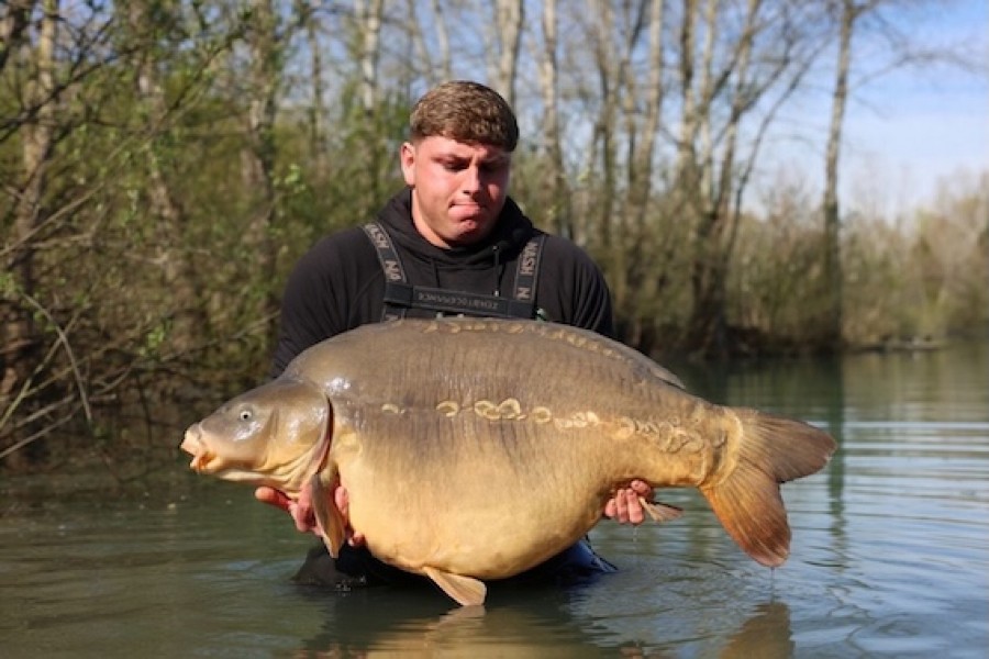 Frank - 65lb 8oz - Alcatraz - 28/03/2026