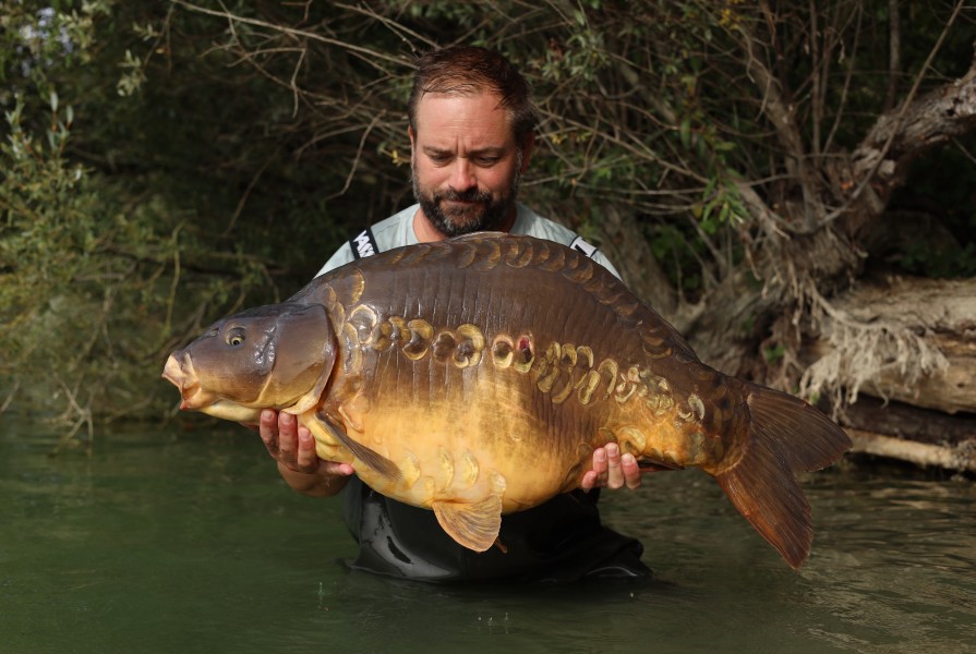 Danny Gruar - Big Suv - 50lb 8oz - 22/08/2026