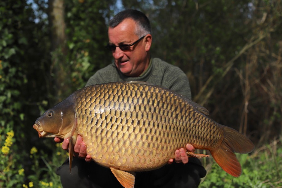 Ian Ockwell, 33lb, The Alamo, 4.5.19