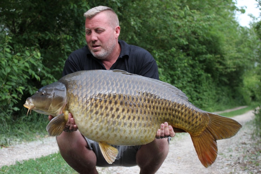 Cullen's Common 47lb4oz TreeLine 27.5.17