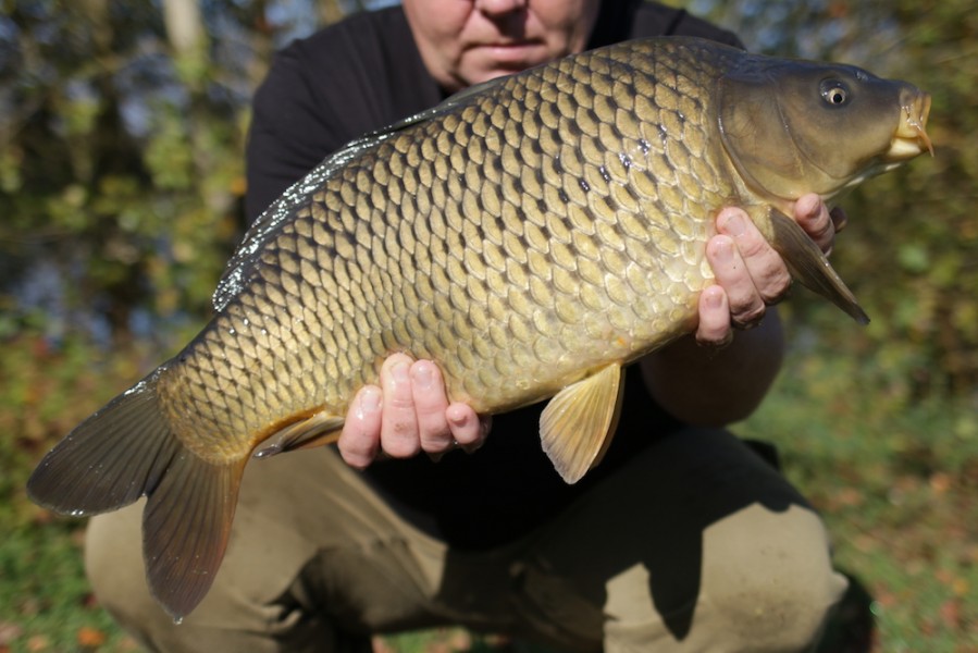 Fish 4 - 11lb 8oz - October 2017