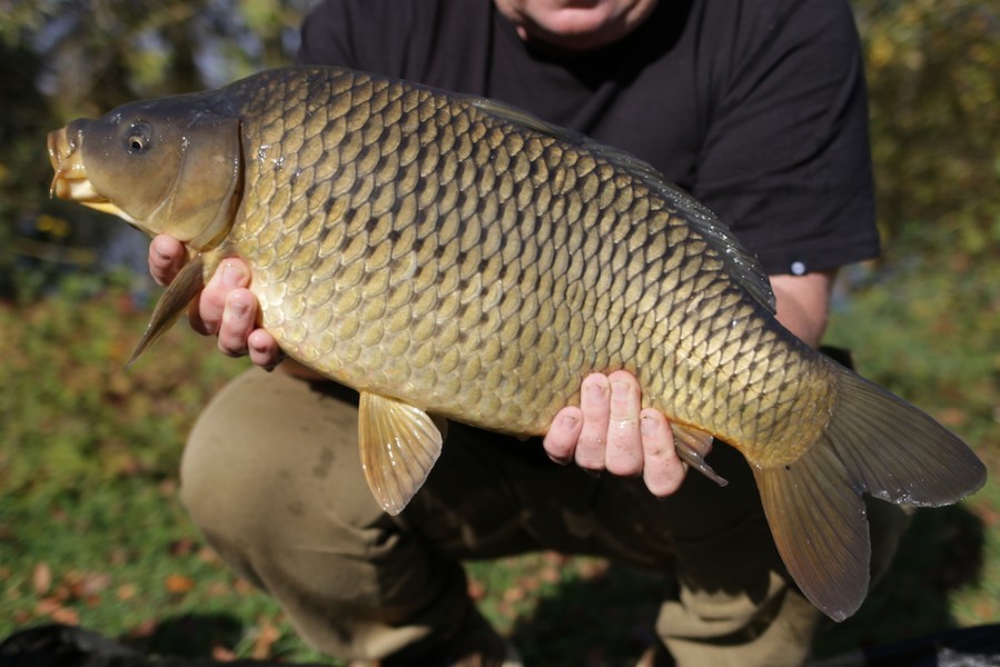 Fish 4 - 11lb 8oz - October 2017