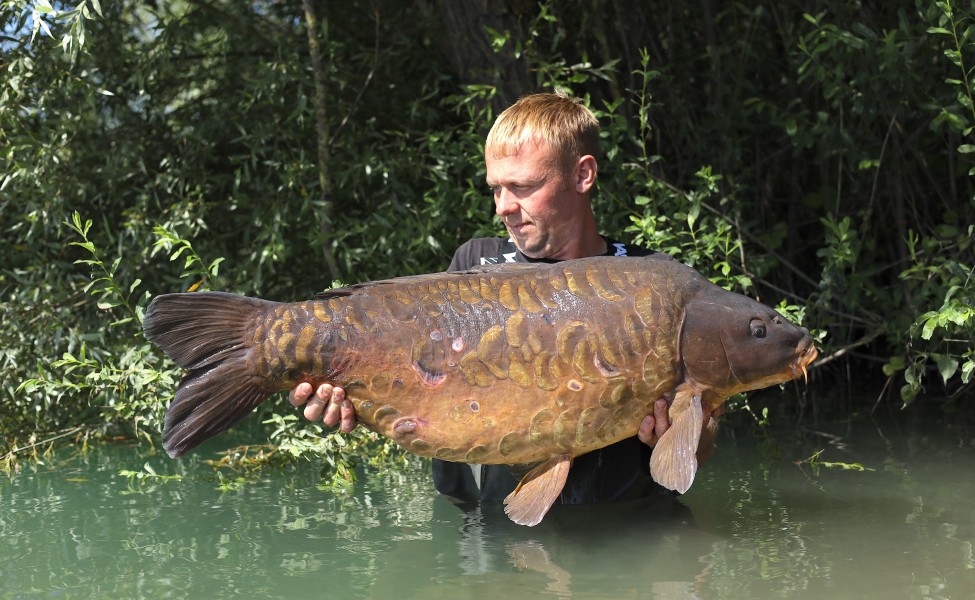 Mark Mayhew - Co's Point - 49lb 8oz - 22/06/2024