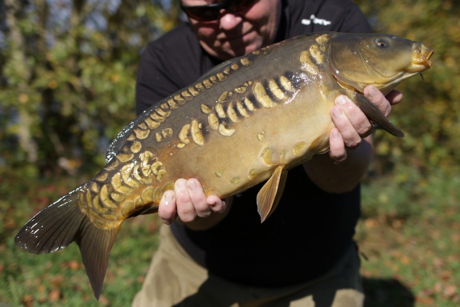 Fish 21 - 9lb 8oz - October 2017