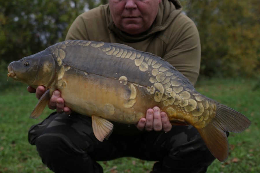 Fish 27 - 13lb - October 2017