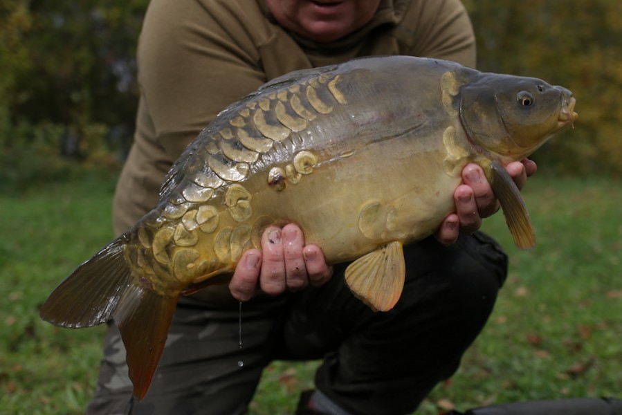 Fish 31 - 9lb - October 2017
