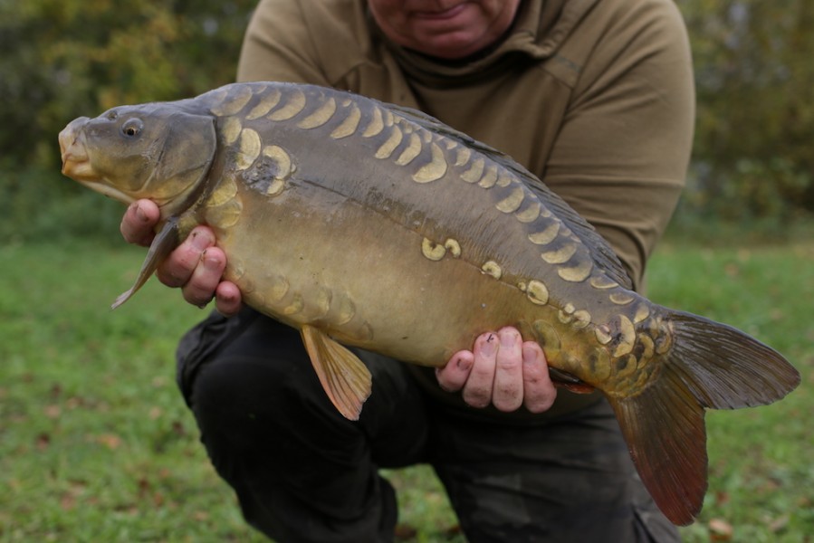 Fish 32 - 9lb 4oz - October 2017