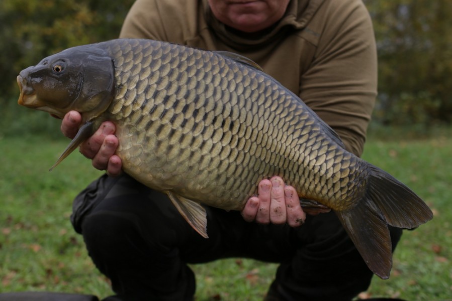 Fish 33 - 13lb 12oz - October 2017