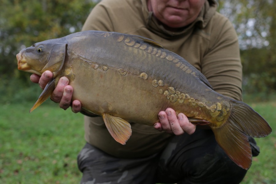 Fish 38 - 10lb 4oz - October 2017