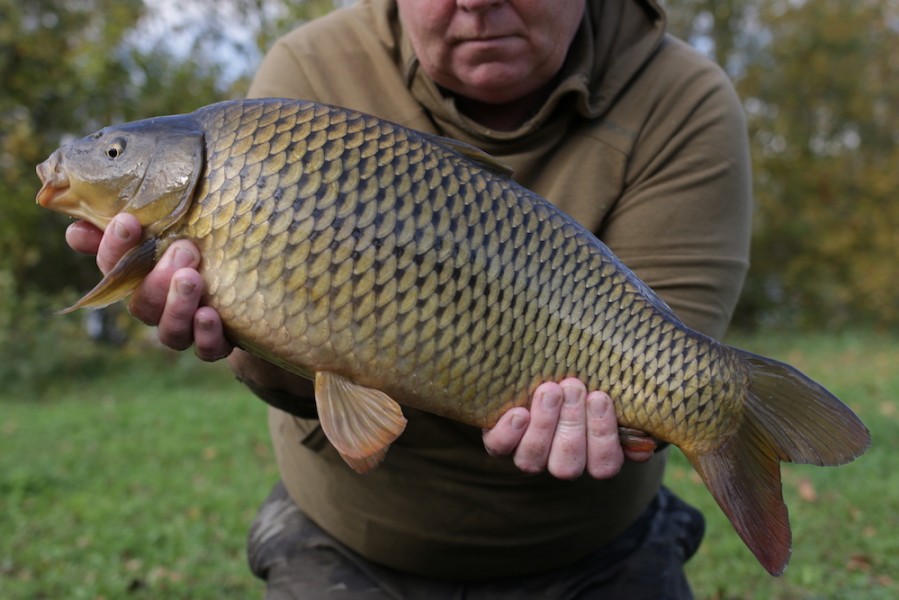 Fish 54 - 9lb 8oz - October 2017