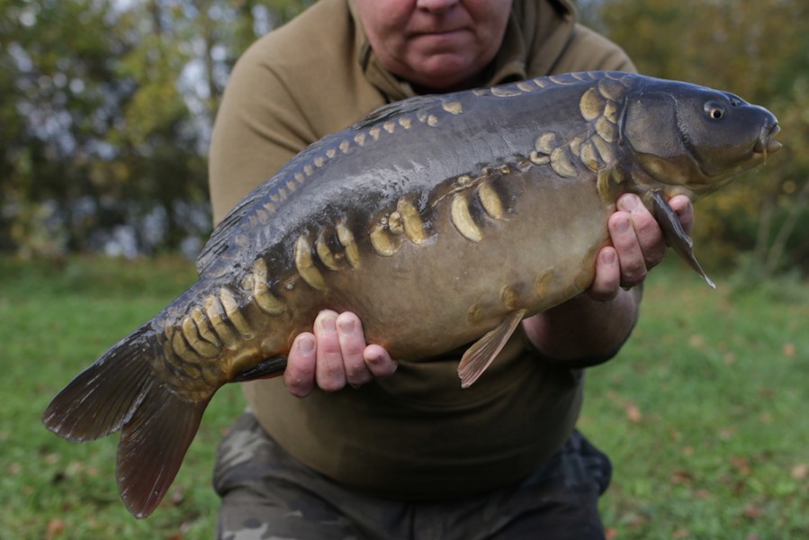 Fish 55 - 12lb 8oz - October 2017