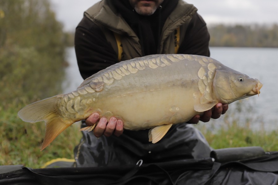 Fish 61 - 9lb - October 2017