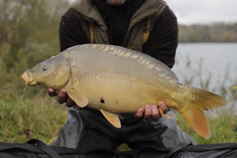 Fish 62 - 8lb 4oz - October 2017