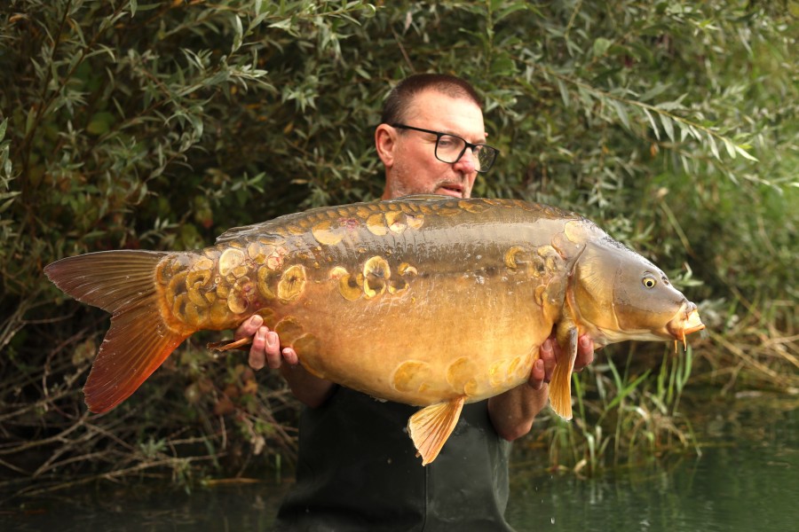 Gary - 34lb 8oz - Treeline - 31/08/2024