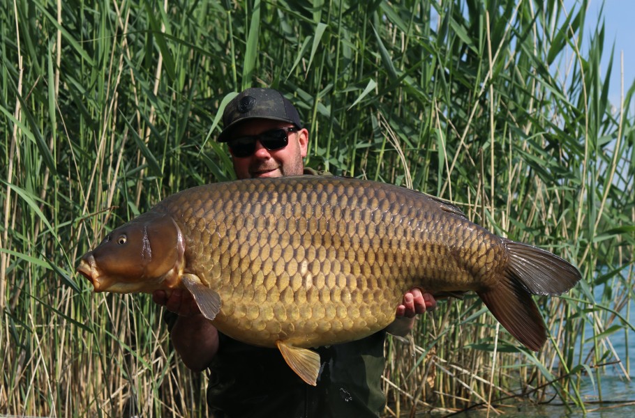 Dan Coles - 52lb 14oz - Baxters - 27/05/23