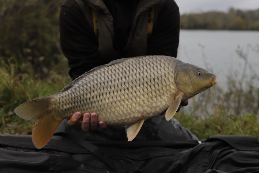 Fish 90 - 10lb 8oz - October 2017