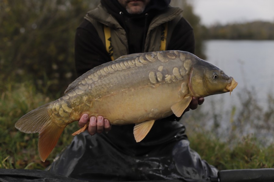 Fish 112 - 11lb 8oz - October 2017