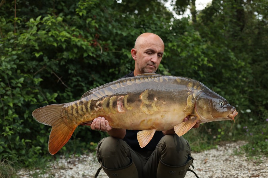 Chris Irvin - Co's - 31lb 9oz - 17/10/2024