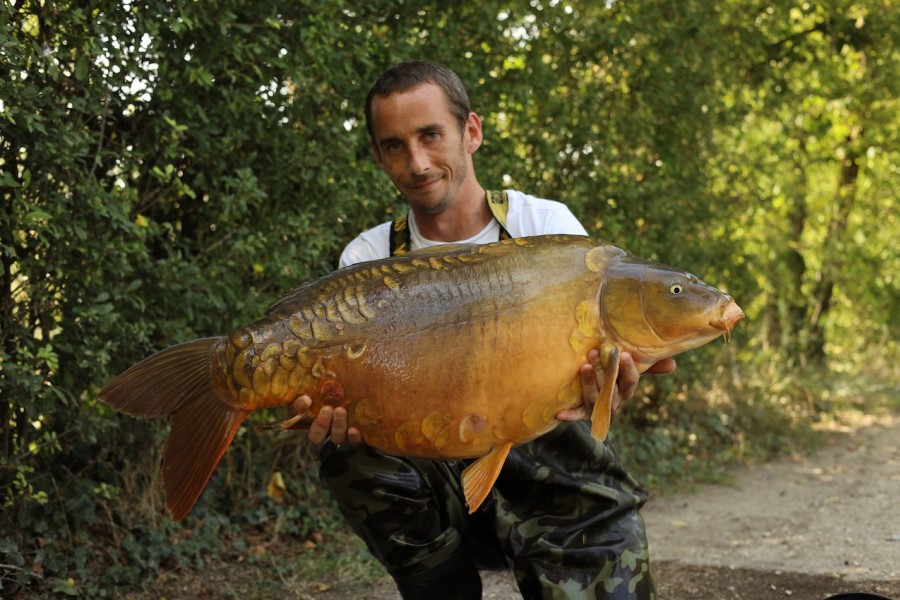 Shane Hull, 36lb, Tree Line, 09/08/2025