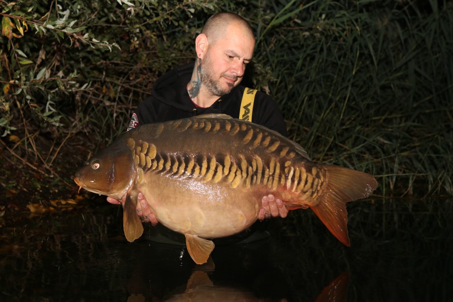 geoff Longley - 40lb 2oz - Treeline - 15/10/2022