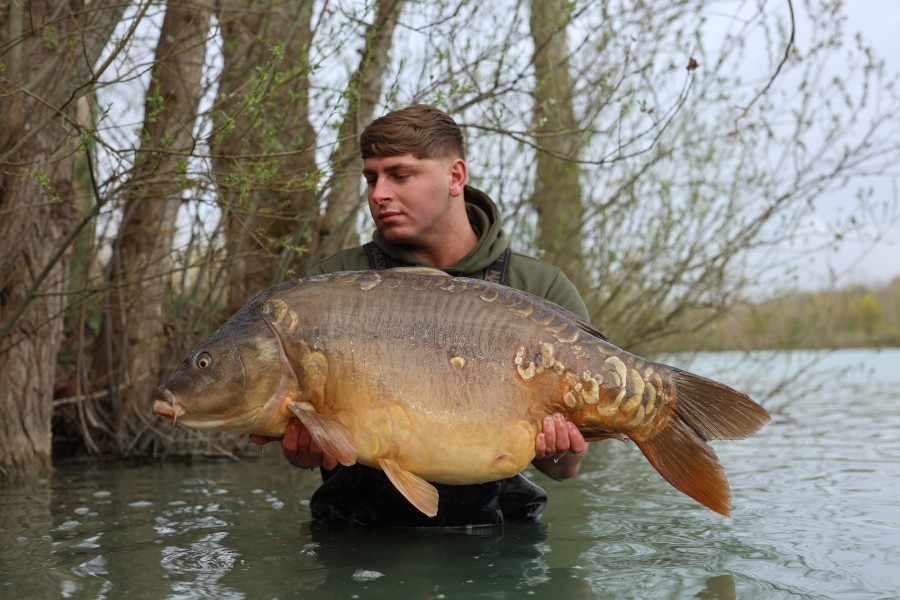 Frank - 49lb - Alcatraz - 28/03/2026