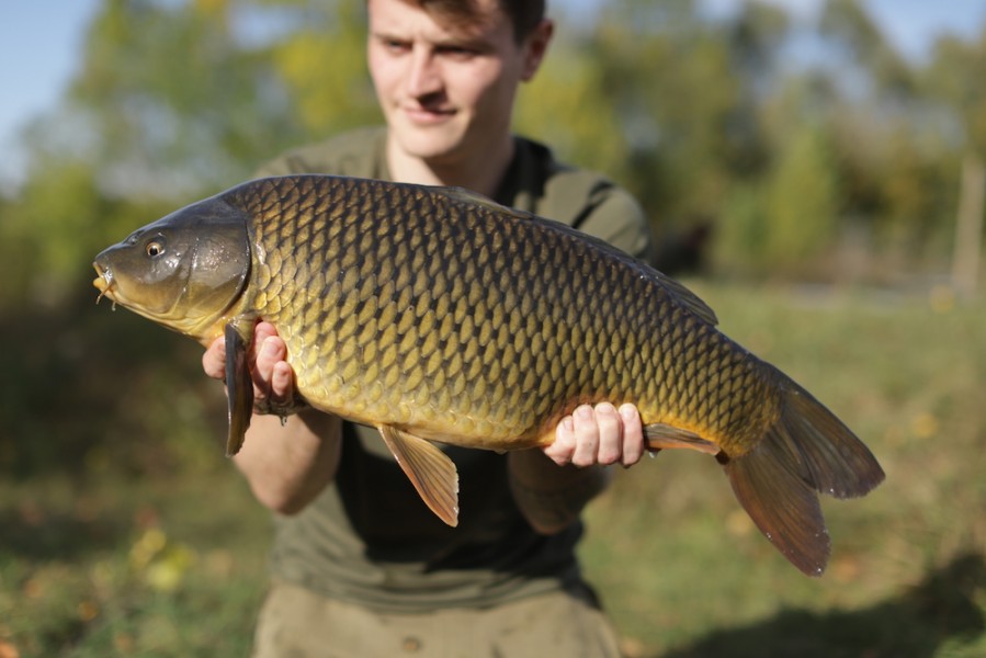 11lb 4oz, 27.9.18