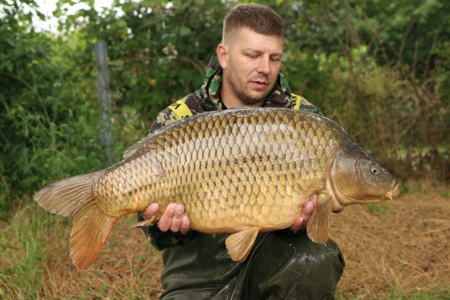 Aaron Metcalfe - Stink - 30lb - 29/06/2024