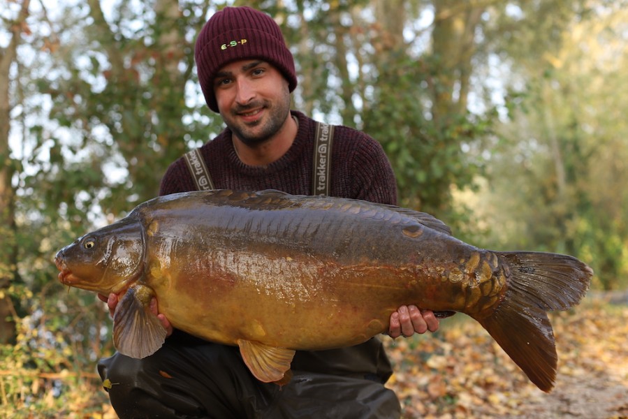 Phillip Loach 36lb8oz The Alamo 13.10.18