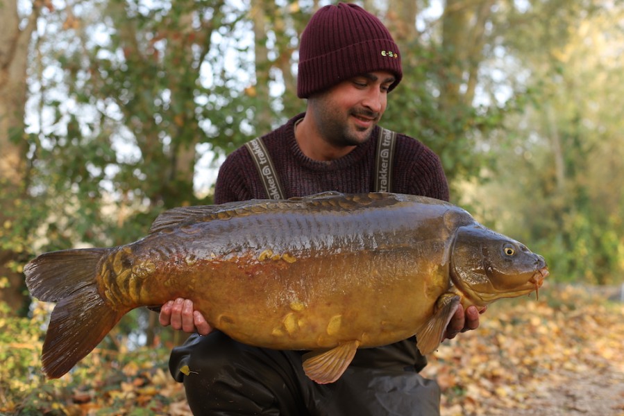 Phillip Loach 36lb8oz The Alamo 13.10.18