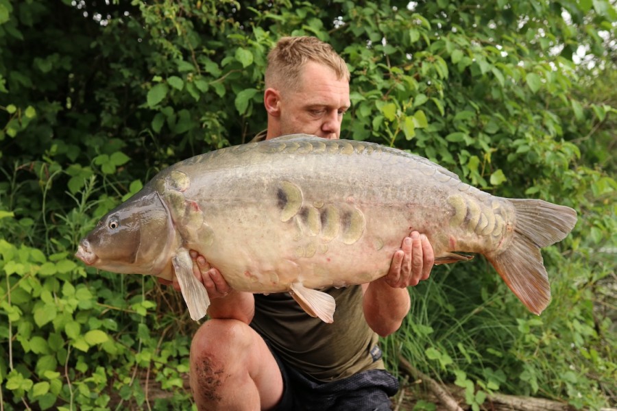 John Bentley - Co's - 41lb 8oz - 29/06/2024