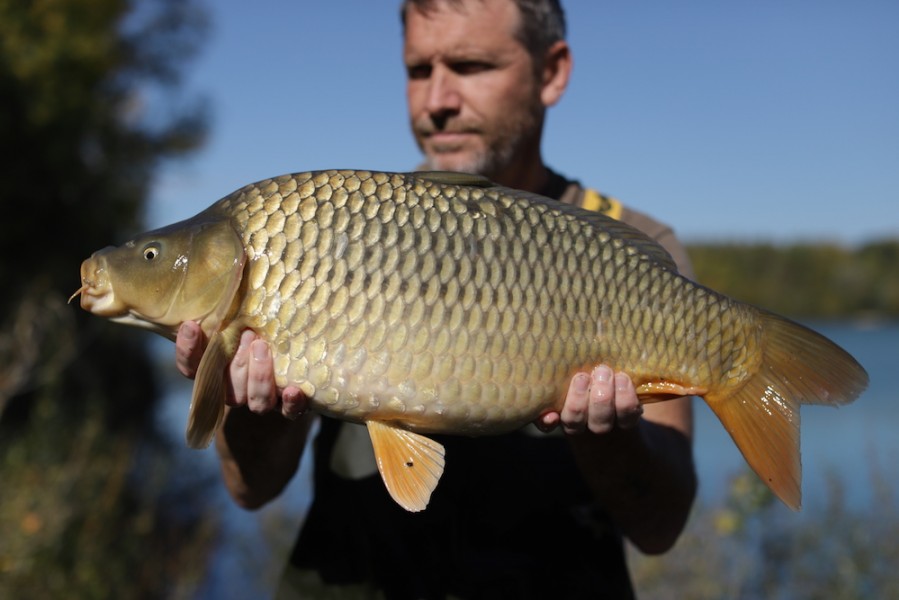 14lb, 27.9.18