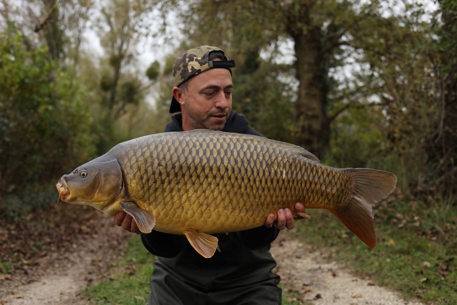 Paul Carpenter, 31lb, Big Girls, 02/11/2024