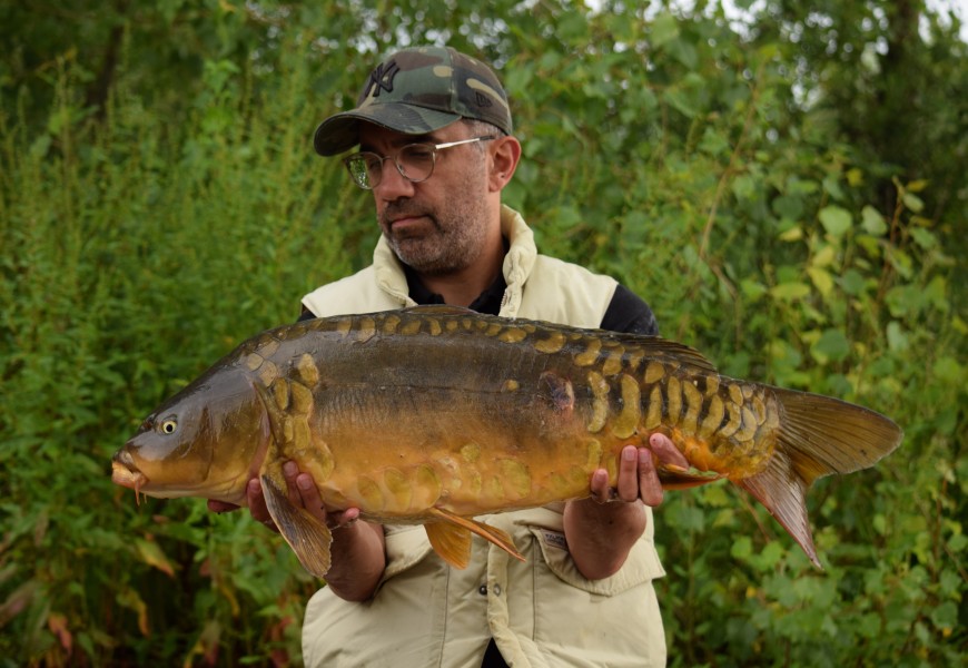 Dave Westwood, 23lb 11oz, Stock Pond, 15/06/2024