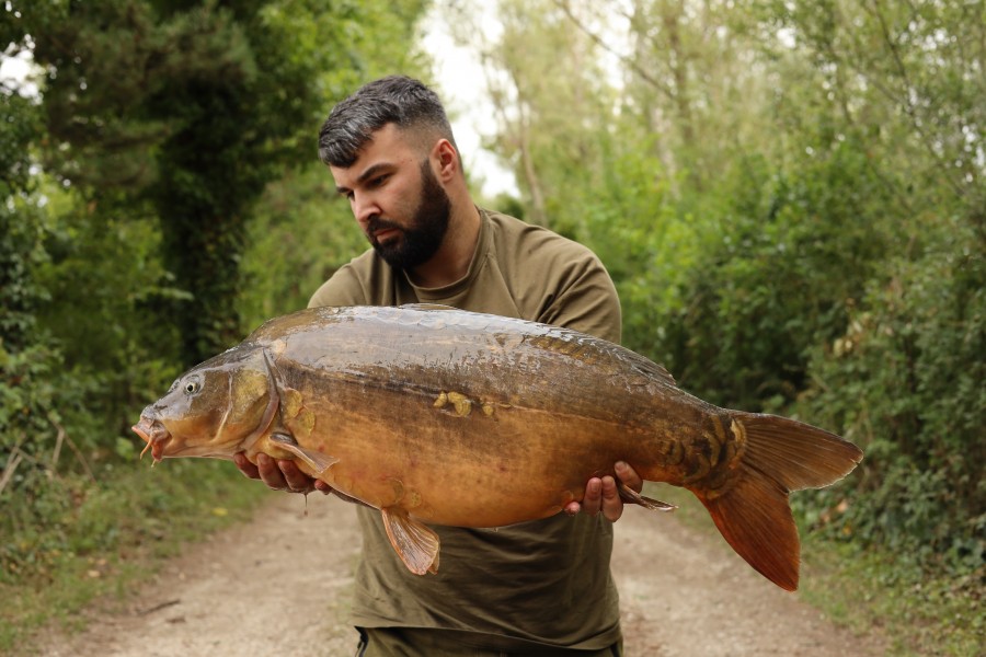 Josh Mayer - 31lb 8oz - The Alamo - 19/07/2025