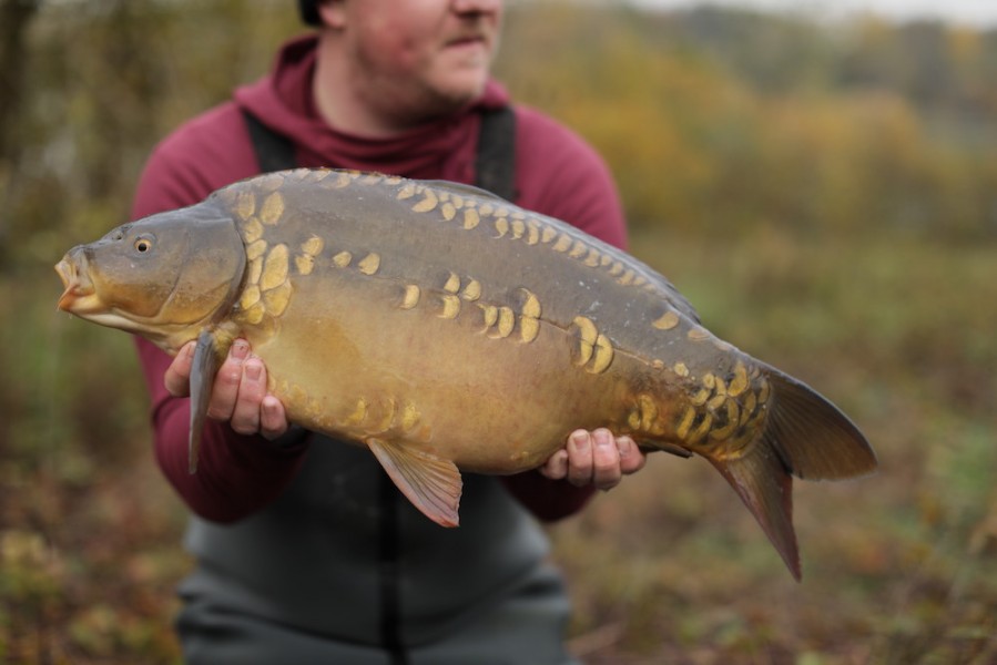 2019 - Fish 009 - 11lb 12oz