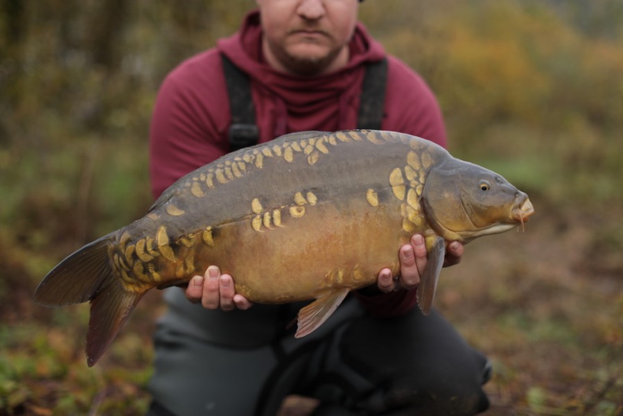 2019 - Fish 009 - 11lb 12oz