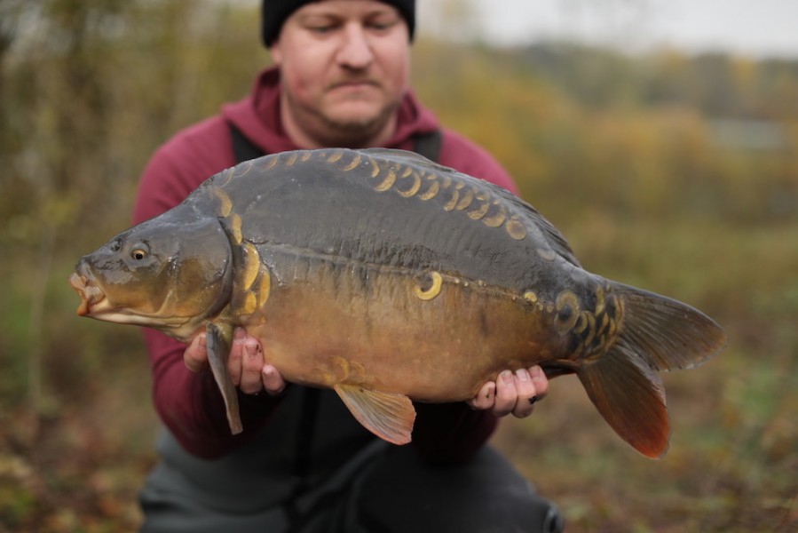 2019 - Fish 019 - 12lb 4oz - The Fiddler