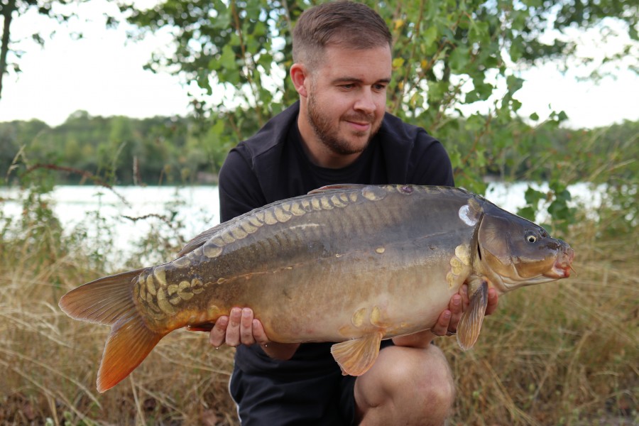 Michael Mack 19lb 8oz Pole Position 15.08.20