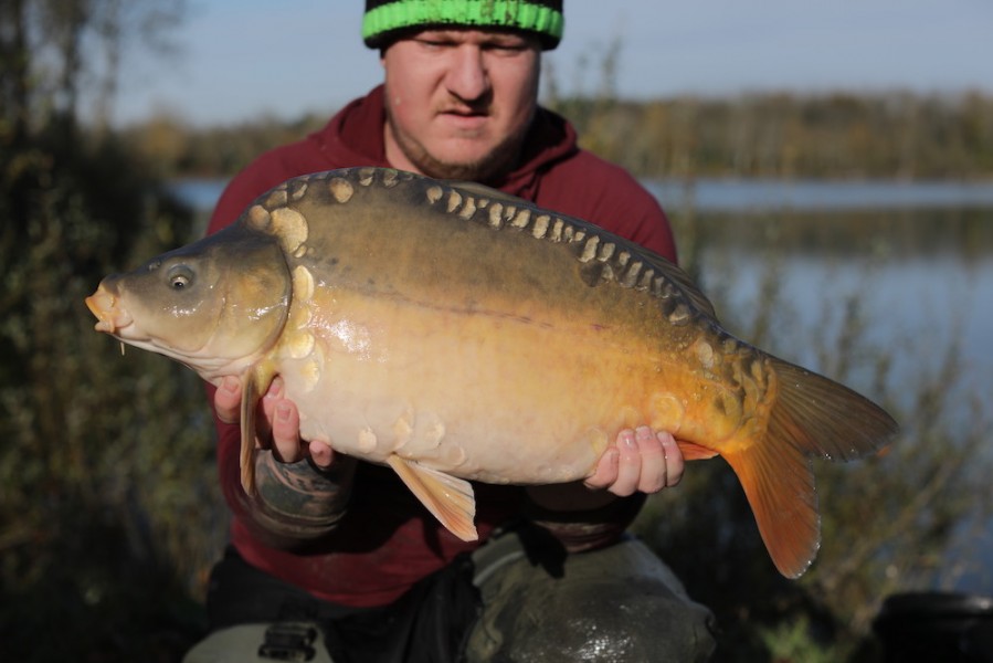 2019 - Fish 050 - 12lb 12oz