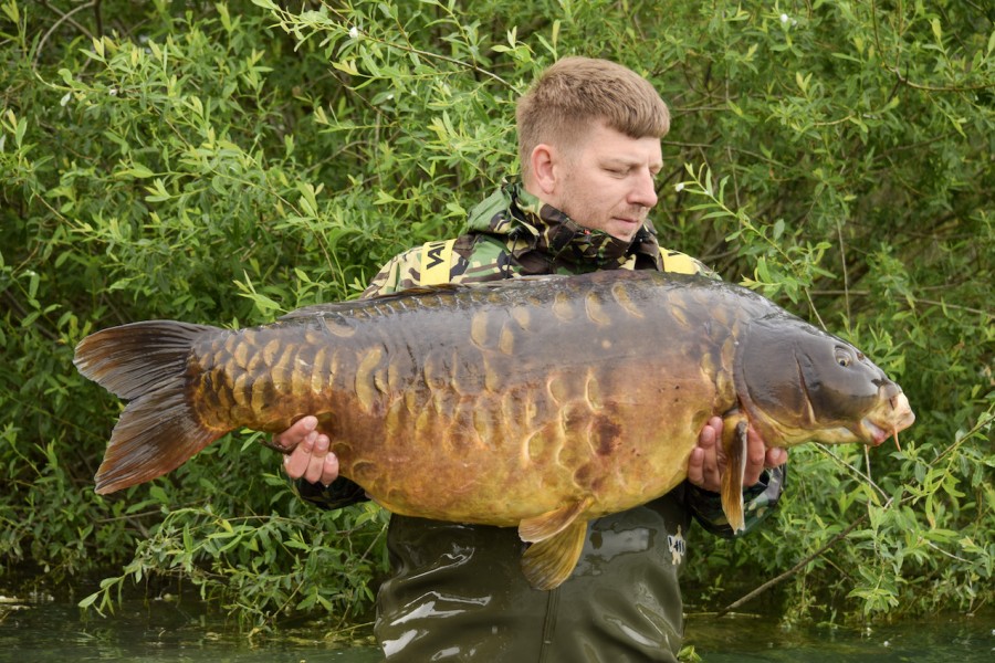 Aaron Metcalf, 65lb 8oz, Oblivion, 11/05/2024