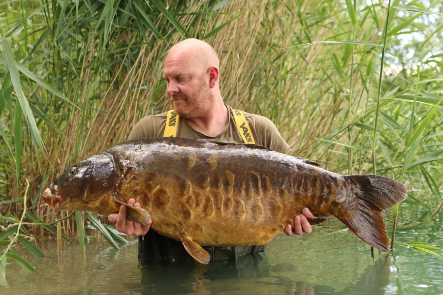 David Westwood - Tree Line - 64lb - 01/06/2024