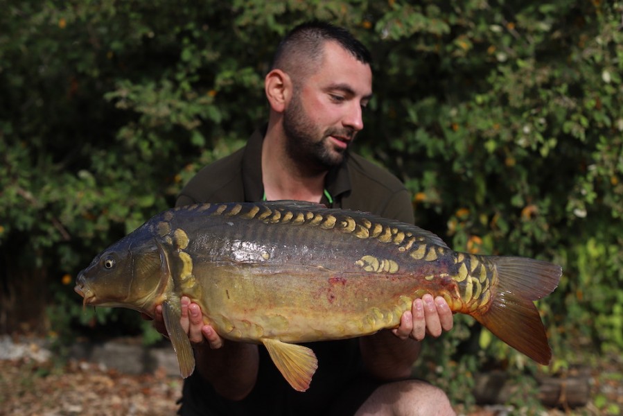 Radu Mitrea, 17lb, Baxter's, 22.08.20