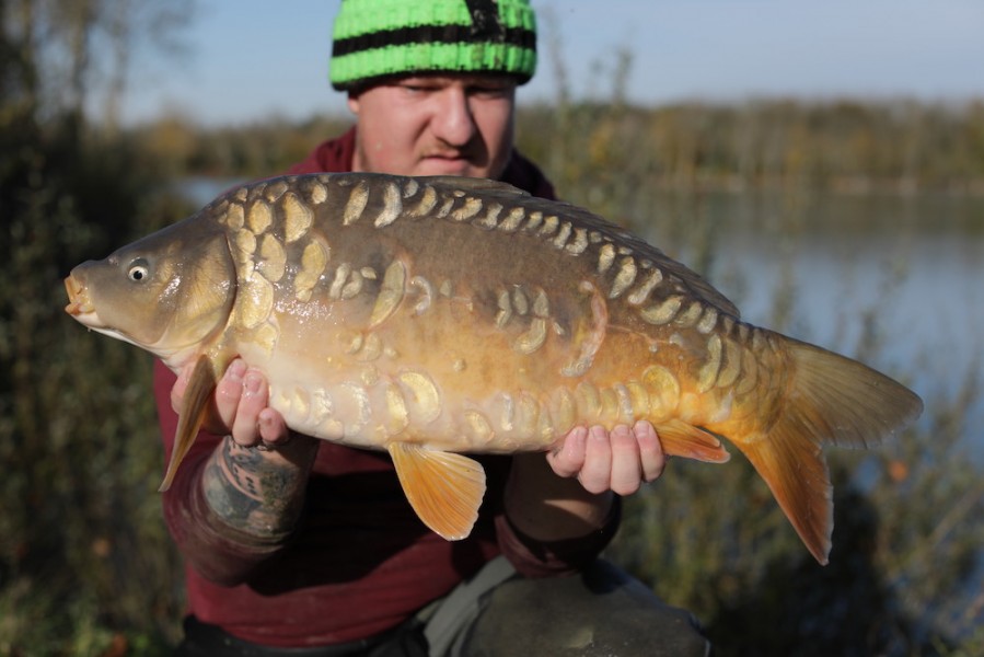 2019 - Fish 084 - 10lb 12oz